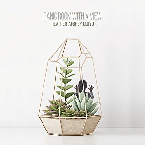 Panic Room With A View album cover